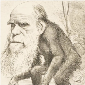 Gott und Darwin - ein Widerspruch?